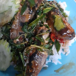 กะเพราปลากระป๋อง