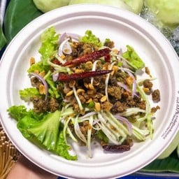 ปลาดุกฟู (เจ้าดังหน้าศาล)