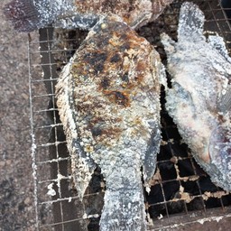 ร้านปลาเผาอีสาน บึงหนองโคตร (หลังมอ)