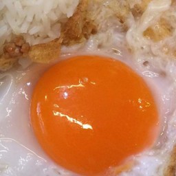 ไขดาว