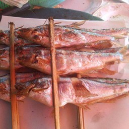 ปลายอน ย่างเกลือ