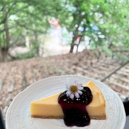 Blueberry Cheesecake (บลูเบอรี่ชีสเค้ก)