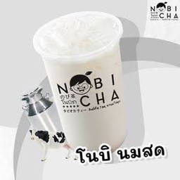 โนบิ นมสด