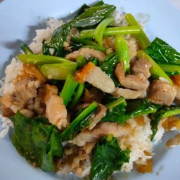 คะน้าหมูกรอบราดข้าว