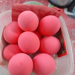 ไข่เยี่ยวม้า