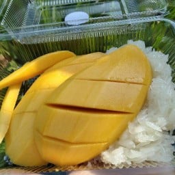 ข้าวเหนียวมะม่วงเจ้ไพข้างเมืองจำลอง(คลองถม) สาขา1