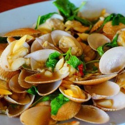 หอยลายผัดพริกเผา