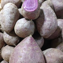 มันม่วง อุบลฯ