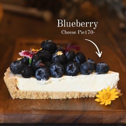 Blueberry Cheese pie