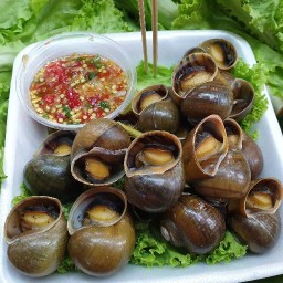 หอยนานึ่ง ตลาด100ปี