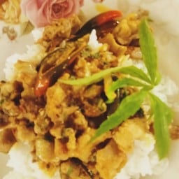 ผัดเผ็ดไก่บ้าน