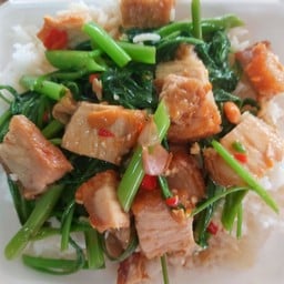 ผักบุ้งหมูกรอบ(กับข้าว)