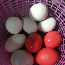 ไข่เยี่ยวม้า