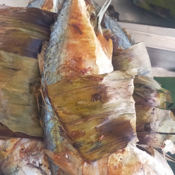 ปลาทูปิ่ง