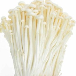 เห็ดเข็มทอง