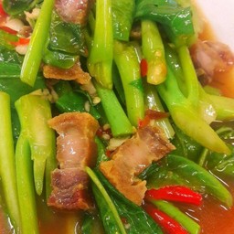 ผัดคะน้า