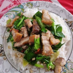 ผัดคะน้าราดข้าว