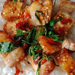 กระเพราหมูกรอบราดข้าว