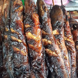 ปลาดุกย่าง