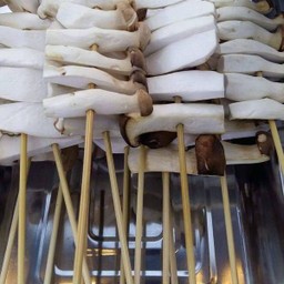 เห็ดออริจิ