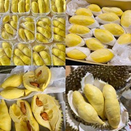 ทุเรียนหมอนทองและผลไม้นำเข้าเกรดพรีเมี่ยม หอม หวาน อร่อยฟิน