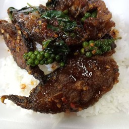 ปลาดุกผัดพริกแกงราดข้าว