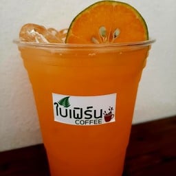 ใบเฟิร์นcoffee