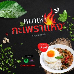 หมาเห่า กะเพราแห้ง ลำลูกกาคลอง2