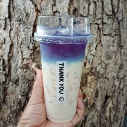 เมย์ คาเฟ่ นครสวรรค์