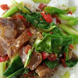 ข้าวคะน้าหมูกรอบ