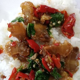 กะเพาหมูกรอบราดข้าว