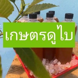 เกษตรดูไบ