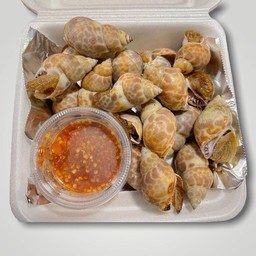 หอยหวาน