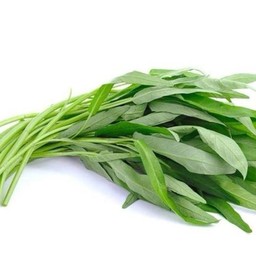 ผักบุ้ง