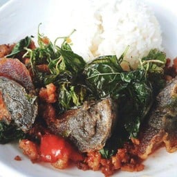 ข้าวราดไข่เยี่ยวม้า-หมูสับกระเพรากรอบ