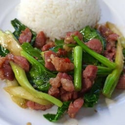 ข้าวราดคะน้าเนื้อแดดเดียว