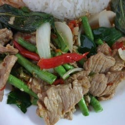 ข้าวราดเนื้อผัดใบโหระพา