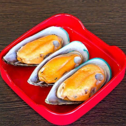 หอยนิวซีแลนด์