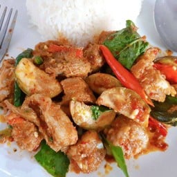 ข้าวราด ผัดเผ็ดซี่โครงอ่อน