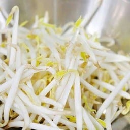 ถั่วงอกลวก