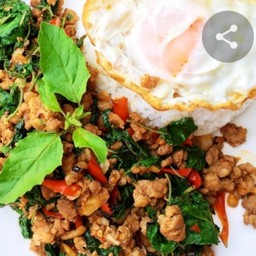 ข้าวราดกระเพราหมูสับไข่ดาว