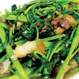 ข้าวราดผัดผักบุ้ง