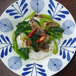 ผัดคะน้าปลาเค็ม ราดข้าว