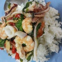 ผัดกะเพรารวมมิตรทะเลราดข้าว