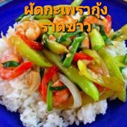 ผัดกะเพรากุ้ง ราดข้าว