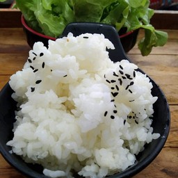 ข้าวญี่ปุ่น