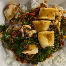 ข้าวราดกะเพราหมู หมูสับ ไก่ กุ้ง ปลาหมึก ไข่เยี่ยวม้า รวมมิตร