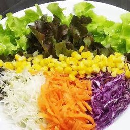 Vegetable Salad