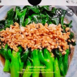 คะน้าน้ำมันหอยเป็นกับข้าว