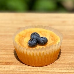 Blueberry Cheese Cake